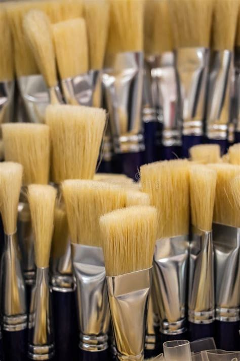 Art Brushes For Painting From Natural Bristles Tools Of The Artist