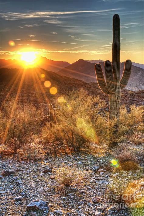 Desert Sunset Phoenix Az The Most Stunning Sunsets Desert Life