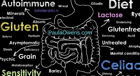 Gluten Intolerance Reasons To Avoid Gluten Paula Owens Ms