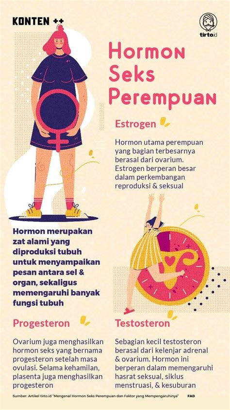 Mengenal Hormon Seks Perempuan Dan Faktor Yang Mempengaruhinya