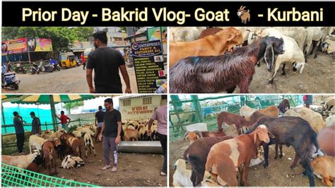 Why Do We Sacrifice Goat Bakrid Goat 🐐shopping Tamil Vlog Yaa Mohideen Youtube