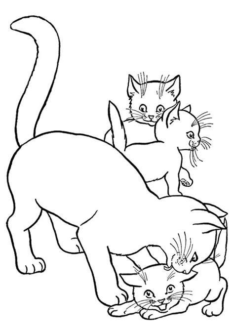 Siamese cat coloring page from cats category. Free Printable Kitten Coloring Pages For Kids - Best ...