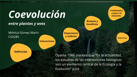 Coevolución Entre Plantas Y Aves By Monica Gomez On Prezi
