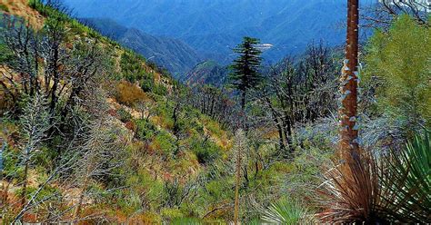Angeles National Forest In California Usa Sygic Travel