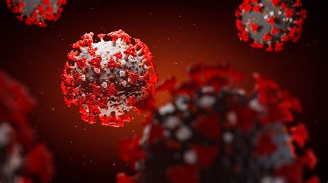 Das trentino sei nicht als risikogebiet für das neuartige coronavirus. Coronavirus geht auch aufs Herz - wissenschaft.de
