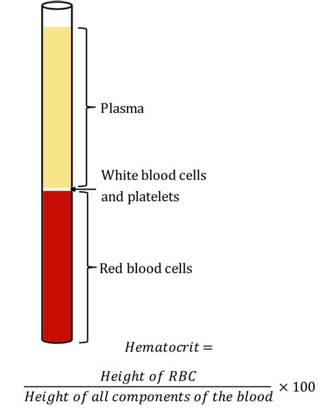 Figure Wintrobe Hematocrit Tube Containing Components
