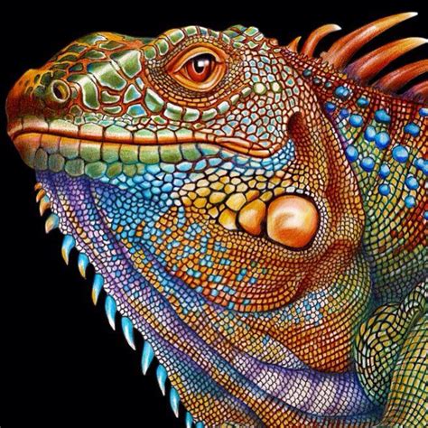 Tim Jeffs Art On Instagram “im Feeling Another Lizard Drawing Coming