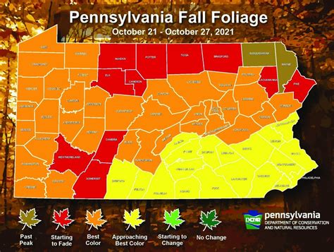 Best Week For Fall Foliage Is Here Across Most Of Pennsylvania