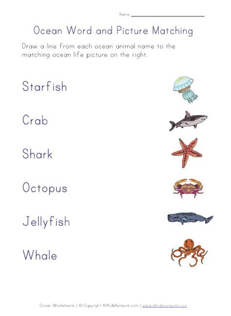 Ocean Life Matching Worksheet