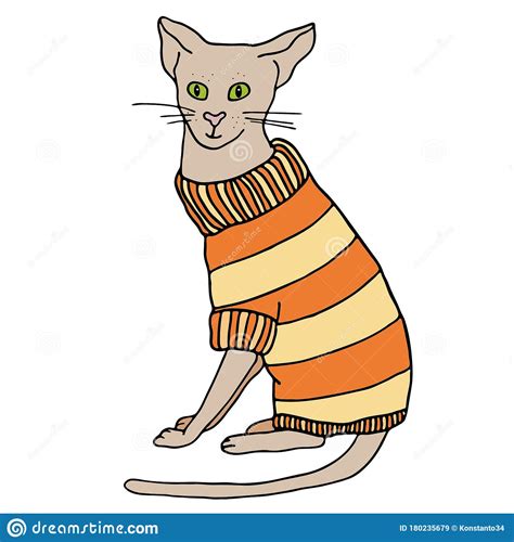 Outline Cat In Sweater Sitting Hand Drawn Cartoon Colored Contour