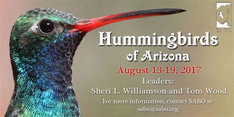 Many species of hummingbirds live in arizona and they all can be seen close up at this aviary. News - Sheri L. Williamson