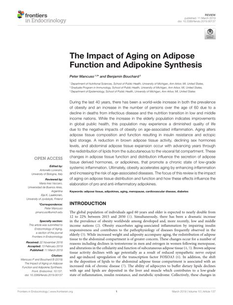pdf the impact of aging on adipose function and adipokine synthesis