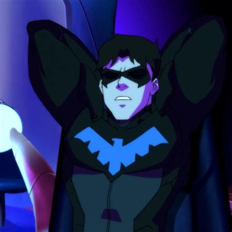 Nightwing Nightwing Young Justice Nightwing Batman Cartoon
