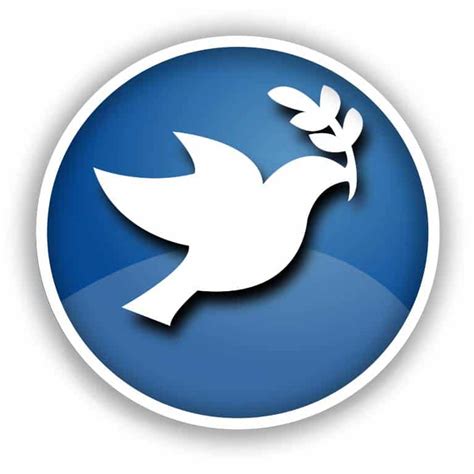 Dove Symbolism The Spiritual Meaning Of This Iconic Bird 2023