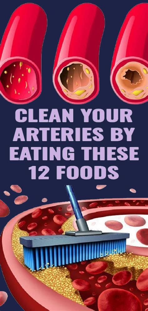 Maybe you would like to learn more about one of these? Daily Eat These 12 Foods for Clean Arteries | V-Remedies