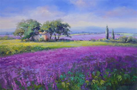 Lavendel Der Provence Violette Felder Bis Zum Horizont Eine