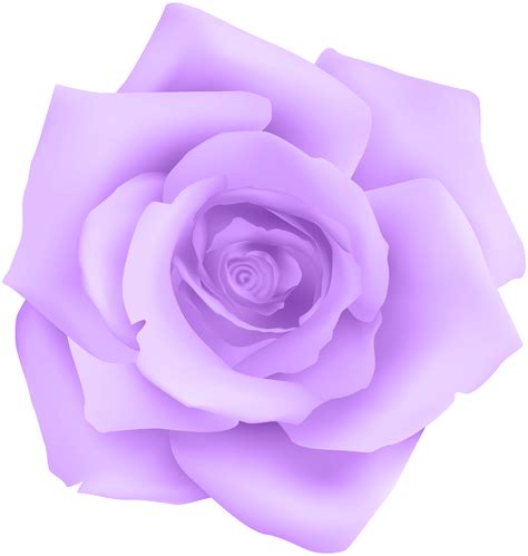 We did not find results for: Purple Rose Transparent Clip Art | Gallery Yopriceville ...