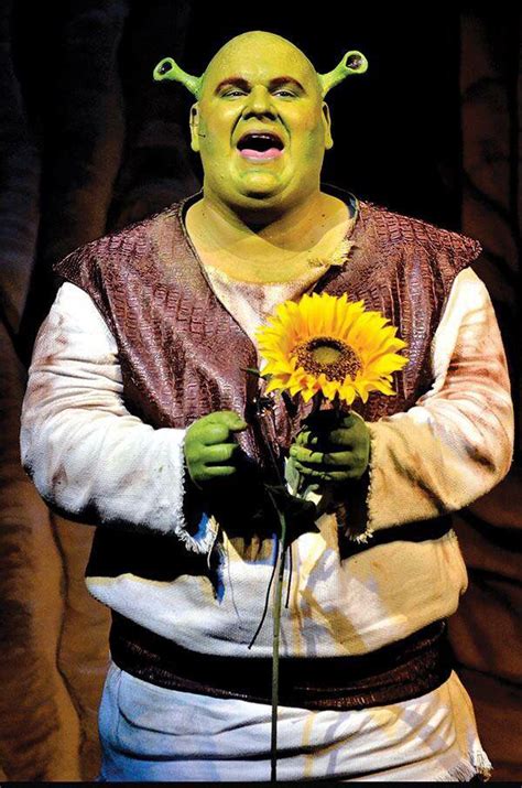 Shrek The Musical Shrek Costume Musicals