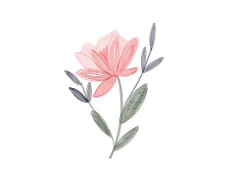 Cute Sketches Of Flowers