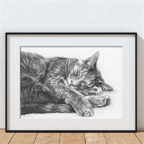 Tabby Cat Pencil Drawing Fine Art Art Print Perfect T For Etsy