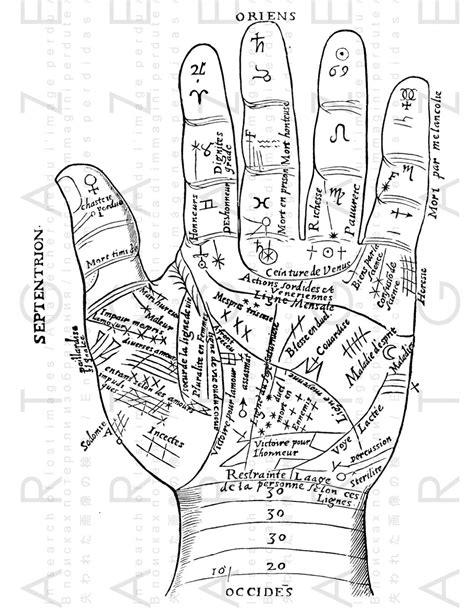 Palmistry Art Palmistry Hand Printable Wall Art Palm Reading Decor