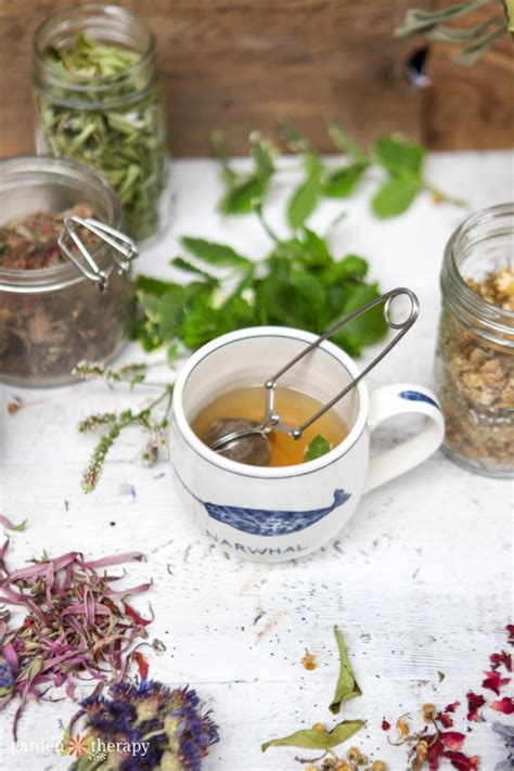 A handful of oolong on a saucer? Harvesting Herbs, Healing, and How to Make the Perfect Cup ...