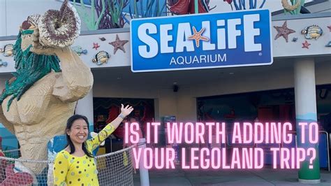 Sea Life Aquarium Legoland California Resort Youtube