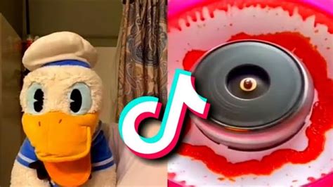 Donald Ducc Tiktok Compilation 25 Best Donald Ducc Tiktok Donald