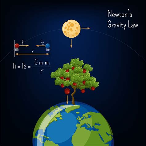 Física Aplicaciones De Las Leyes De Movimiento De Newton En La Vida Diaria
