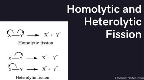 Homolytic And Heterolytic Fission Chemistry Notes