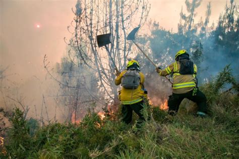 Los Incendios Forestales Han Arrasado Hect Reas En Colombia Desde