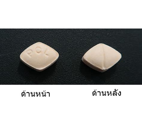 Amiloridehydrochlorothiazide Tablet 5 Mg50 Mg Poli Uretic English Version