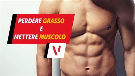 Quanto Deve Essere La Massa Grassa Mirruce