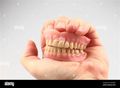 Teeth Prosthesis In The Human Hand Isolated On The White Background