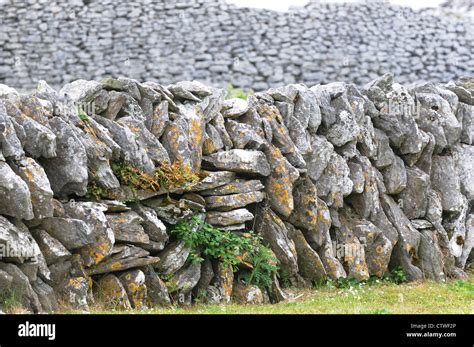 Burren County Clare Ireland Stone Walls Mark Land Boundaries And