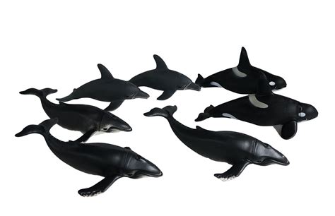 Whales And Dolphins Animal Collection Bath Toys