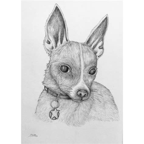 Pet Portrait Dog Portrait Custom Portrait Chihuahua Dog Portraits