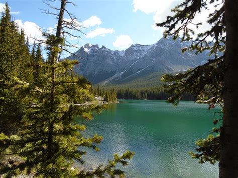 Elbow Lake Trail Kananaskis Country 2020 All You Need To Know