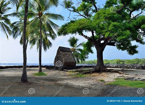 A Hut On The Beach At Pu Uhonua O Honaunau The Place Of Refuge On The