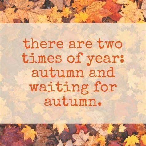 There Are Two Times Of Year Autumn And Waiting For Autumn Pictures