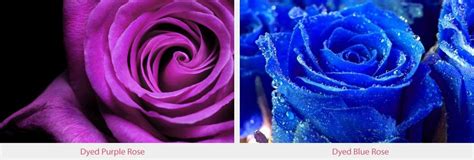 Add stems to foliage from your garden in a lovely glass vase of water….no one will know they are not real flowers! Choosing the Right Colour Flowers for Your Wedding ...