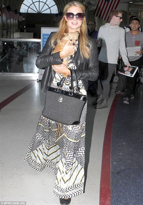 Paris Hilton Carries Her Chihuahua Through Customs After Jetting Into