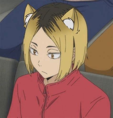 Log In Anime Cat Boy Haikyuu Anime Catboy