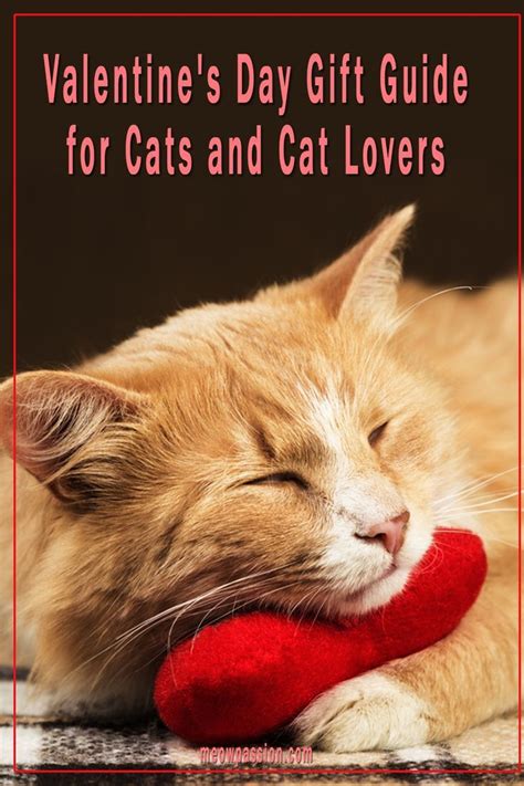 We did not find results for: Valentine Gifts for Cat Lovers, Owners and Cats ...