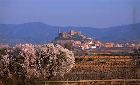 Semana Santa En La Rioja La Rioja Turismo