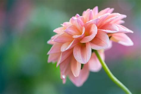 We offer a variety of programs, inspiring journeys into the silence of the self. Online Retreat - Chan Meditation Centre