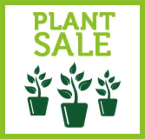 Great service, great price and great selection of flowers. How to Sell Plants Online | HubPages