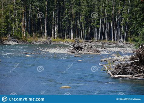 Landscape At Elwha River In Olympic National Park Washington Stock