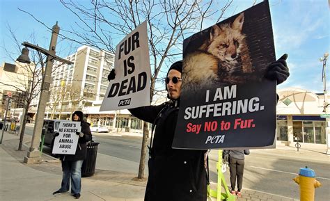 Protesters Stand Against Animal Cruelty The Mediaplex
