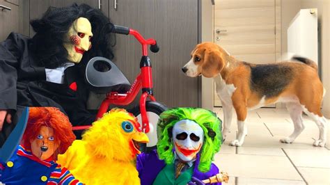 Dogs Get Pranked By Funny Costumes Compilation Youtube